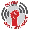 Organize for power